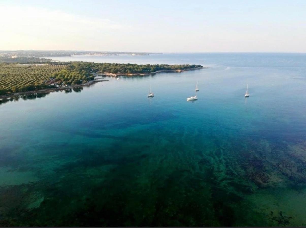 Apartments Vojvoda Poreč Eksteriør billede